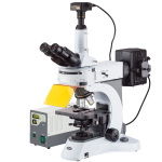 AmScope FM820T-10M3 FM820 Series Upright Fluorescence Trinocular Compound Microscope 40X-1000X Magnification with Rotating Multi-filter Turret and 10MP Camera (0)