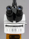 AmScope FM800TC FM800 30W Infinity Plan Extreme Widefield EPI-Fluorescent Trinocular Compound Microscope 40X-1000X Magnification w/ Five Wave Bands (5)