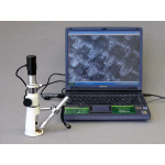 AmScope H20 H20 Series Measuring Monocular Stereo Microscope 20X Magnification w/ Pen Light (5)