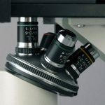 AmScope IN200TA-P IN200 Series Inverted Tissue Culture Trinocular Compound Microscope 40X-640X Magnification with USB Camera (5)
