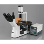 AmScope IN300T-FL-MBI3 IN300 Series Inverted Phase-Contrast Biological EPI-Fluorescent Trinocular Compound Microscope 40X-400X w/ 30W Halogen and 1.2MP USB 3.0 C-mount Camera (2)