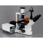 AmScope IN300T-FL-MBI3 IN300 Series Inverted Phase-Contrast Biological EPI-Fluorescent Trinocular Compound Microscope 40X-400X w/ 30W Halogen and 1.2MP USB 3.0 C-mount Camera (3)