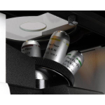 AmScope IN300T-FL-MBI3 IN300 Series Inverted Phase-Contrast Biological EPI-Fluorescent Trinocular Compound Microscope 40X-400X w/ 30W Halogen and 1.2MP USB 3.0 C-mount Camera (6)