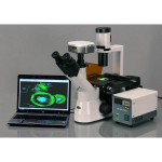 AmScope IN300T-FL-MBI3 IN300 Series Inverted Phase-Contrast Biological EPI-Fluorescent Trinocular Compound Microscope 40X-400X w/ 30W Halogen and 1.2MP USB 3.0 C-mount Camera (7)