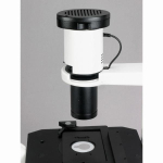 AmScope IN300TC-8M IN300 Series Inverted Phase-Contrast Biological Trinocular Compound Microscope 40X-1000X Magnification w/ 30W Halogen and 8MP USB 2.0 C-mount Camera (7)