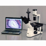 AmScope IN300TC-8M IN300 Series Inverted Phase-Contrast Biological Trinocular Compound Microscope 40X-1000X Magnification w/ 30W Halogen and 8MP USB 2.0 C-mount Camera (9)
