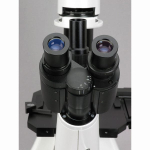 AmScope IN300TC-5MA IN300 Series Infinity-corrected Inverted Biological Trinocular Compound Microscope 40X-1000X Magnification with Phase-contrast and 5MP USB 2.0 Camera (1)