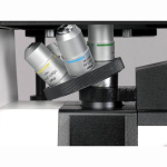 AmScope IN300TC-8M IN300 Series Inverted Phase-Contrast Biological Trinocular Compound Microscope 40X-1000X Magnification w/ 30W Halogen and 8MP USB 2.0 C-mount Camera (8)