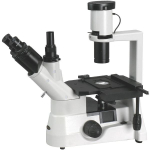 AmScope IN300TC-8M IN300 Series Inverted Phase-Contrast Biological Trinocular Compound Microscope 40X-1000X Magnification w/ 30W Halogen and 8MP USB 2.0 C-mount Camera (0)