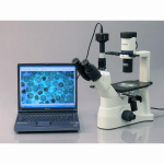 AmScope IN400TB-10M3 IN400 Series Inverted Infinity-Corrected Brightfield and Phase-Contrast Biological Trinocular Compound Microscope 40X-1200X w/ 30W Halogen, Quintuple Head and 10MP USB 3.0 C-mount Camera (8)