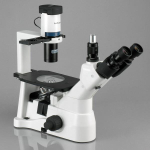 AmScope IN400TB-10M3 IN400 Series Inverted Infinity-Corrected Brightfield and Phase-Contrast Biological Trinocular Compound Microscope 40X-1200X w/ 30W Halogen, Quintuple Head and 10MP USB 3.0 C-mount Camera (5)