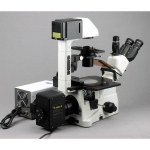 AmScope IN480TC-FL-3MG3 IN480 Series Inverted Infinity-Corrected Fluorescence Trinocular Compound Microscope 40X-1500X w/ Kohler Illumination and 2.3MP Global Shutter Camera (2)