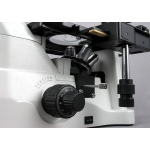 AmScope IN480TC-FL-3MG3 IN480 Series Inverted Infinity-Corrected Fluorescence Trinocular Compound Microscope 40X-1500X w/ Kohler Illumination and 2.3MP Global Shutter Camera (3)