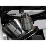 AmScope IN480TC-FL-3MG3 IN480 Series Inverted Infinity-Corrected Fluorescence Trinocular Compound Microscope 40X-1500X w/ Kohler Illumination and 2.3MP Global Shutter Camera (4)