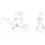 AmScope IN480TC-FL-3MG3 IN480 Series Inverted Infinity-Corrected Fluorescence Trinocular Compound Microscope 40X-1500X w/ Kohler Illumination and 2.3MP Global Shutter Camera (7)
