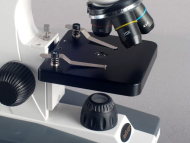 AmScope M148-E M148 Series Biological Science Student Monocular Compound Microscope 40X-400X Magnification with USB2.0 Digital Camera (5)