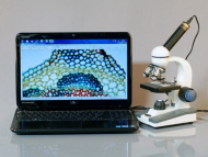 AmScope M150-E M150 Series Portable Student Monocular Compound Microscope 40X-400X Magnification with LED and 1MP USB Eyepiece Camera (5)
