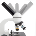 AmScope M158C M158 Series Student Cordless Monocular Compound Microscope 40X-1000X Magnification with Metal Frame, Glass Lenses and Coarse and Fine Focus (2)