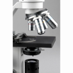 AmScope M500-MS-LED-E1 M500 Series LED Student Monocular Compound Microscope 40X-1000X Magnification w/ Mechanical Caliper and 1MP Digital Camera (4)