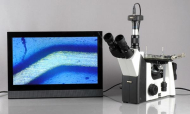 AmScope ME1200TA-9M ME1200 Series Inverted Plan Optics Metallurgical Trinocular Compound Microscope 50X-750X Magnification w/ 9MP USB 2.0 C-mount Camera (8)