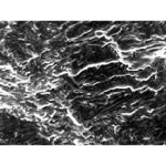 AmScope ME300TZC ME300 Series Metallurgical Trinocular Compound Microscope 40X-2500X Magnification (12)