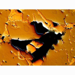 AmScope ME300TZC ME300 Series Metallurgical Trinocular Compound Microscope 40X-2500X Magnification (13)