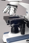 AmScope B020C-72P100S22-CKI B020 Series Lab Binocular Compound Microscope 40X-2500X Magnification with LED, 3D Stage, Slide and Cleaning Kit (5)