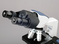 AmScope B120C-WM B120 Series Binocular Compound Microscope 40X-2500X Magnification with LED, Siedentopf Head, 3D Stage and Microscope Book (5)