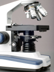 AmScope M620A-DK-5MBI M620 Series Darkfield Monocular Compound Microscope 40X-1600X Magnification w/ LED, 5.3MP Back-Lit USB 2.0 Camera and 3D Mechanical Stage (5)