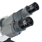 AmScope B450B-SP-E1 B450 Series Semi-Plan LED Biological Binocular Compound Microscope 40X-2000X Magnification w/ 3D Mechanical Stage and 1MP Digital Camera (9)