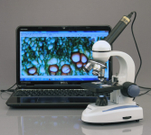 AmScope M158A M158 Series Student Cordless Monocular Compound Microscope 40X-640X Magnification with Metal Frame, Glass Lenses and Coarse and Fine Focus (5)