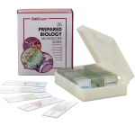 AmScope PS25P 25pc Prepared Glass Microscope Slides in Plastic Case with Plant, Fungus, Insect and Mammal Specimens (0)