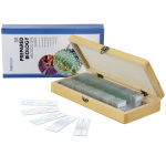 AmScope VB-B270C-STR B270 Series Binocular Compound Microscope Premium Student Bundles: 40X-2500X Magnification LED with 3D Stage, C-mount Microscope Camera, Blank Slides and Cover Slips, Pipettes, 6-Piece Tweezers Set, S (5)