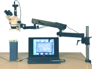 AmScope SM-8TZ-144S-10M SM-8T Series Articulating Arm Zoom Stereo Microscope 3.5X-90X Magnification w/ 144-LED and 10MP Digital Camera (0)