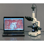 AmScope T340B-LED-18M3 T340 Series Trinocular Compound Microscope 40X-2000X Magnification with 3W LED, 18MP USB 3.0 C-mount Camera (8)
