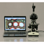 AmScope T390C-DKO-2MBI3 T390 Premium Darkfield Trinocular Compound Microscope 40X-2500X w/ 20W Halogen, Oil Condenser, 2MP Back-Lit USB 3.0 Camera and 3D Mechanical Stage (4)