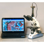 AmScope T520C-5M3 Biological Trinocular Compound Microscope 40X-2500X Magnification w/ 20W Halogen, 3D Mechanical Stage and 5MP USB 3.0 C-mount Camera (9)