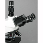 AmScope T580-3M3 Biological Research Grade Simul-Focal Trinocular Compound Microscope 40X-1000X Magnification w/ 20W Halogen, 3D Mechanical Stage and 3MP USB 3.0 C-mount Camera (8)