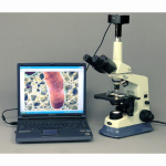 AmScope T590C-DK-5MBI Darkfield Trinocular Compound Microscope 40X-2500X Magnification w/ 20W Halogen and 5.3MP Back-Lit USB 2.0 Camera (4)