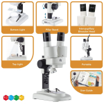 AmScope SE102LED-STMP-TW IQCrew Kid's SE102 Series Deluxe Binocular Stereo Microscope 20X-50X on Track Stand w/ Worldwide Postage Stamp Collecting (2)