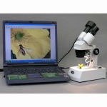 AmScope SE305-AZ-M SE305 Series Compact Multi-Lens Binocular Stereo Microscope 10X-60X w/ Reverse Angled Head, Metal Stand,Lighting, 1.3MP Camera (4)
