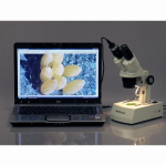 AmScope MD830A 8.3MP USB 2.0 Color CMOS Digital Eyepiece Microscope Camera (5)