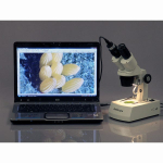 AmScope MD100-CK MD Series 1.0MP USB 2.0 Color CMOS Digital Eyepiece Microscope Camera w/ Calibration Slide (4)