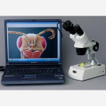 AmScope SE305R-PZ-MT SE305 Series Compact Multi-Lens Binocular Stereo Microscope 10X-60X w/ Angled Head, Metal Pillar Stand, Top, Bottom Lighting (4)