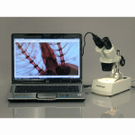 AmScope SE305R-PZ-E2 SE305 Series Compact Multi-Lens Binocular Stereo Microscope 10X-60X w/ Angled Head, Metal Pillar Stand, Lighting, 2MP Camera (4)