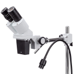 AmScope SE400-Z SE400 Series Compact Fixed-Lens Boom-Arm Stereo Microscope 10X-20X Magnification w/ Gooseneck LED Light (2)