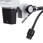 AmScope SE400-Z SE400 Series Compact Fixed-Lens Boom-Arm Stereo Microscope 10X-20X Magnification w/ Gooseneck LED Light (3)