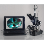 AmScope SH-2TY-SL-DK SH-2 Series Jewelry Gem Trinocular Stereo Microscope 10X-60X Magnification on Pillar Stand with Three Lights (5)