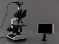 AmScope WF100 720p Wi-Fi Microscope Digital Camera + Software (9)