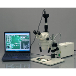 AmScope ZM-1TZ-FOD Zoom Trinocular Stereo Microscope 3.35X-90X Magnification on Pillar Stand w/ Fiber Optical Light (4)